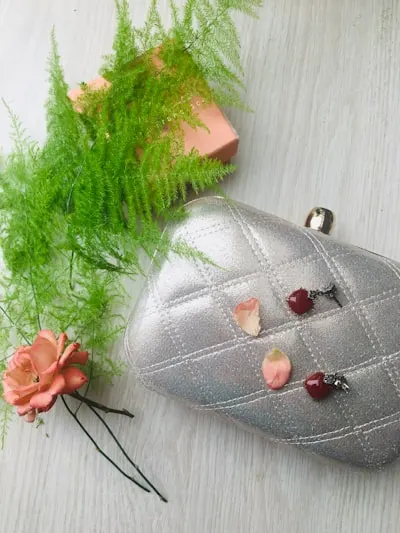 clutch bag — клатч