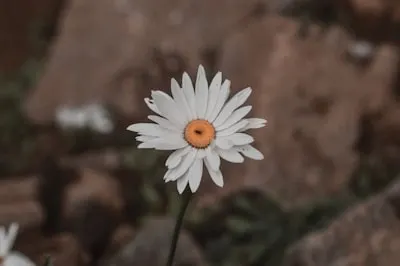 edited — редактировать