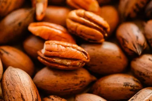 Pecans — Орехи пекан