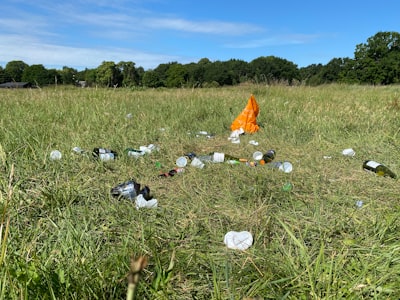 litter — мусор