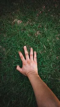 touch grass — выйди на улицу
