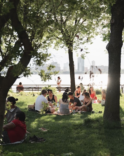 Das Picknick — пикник