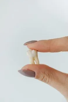 tooth — зуб