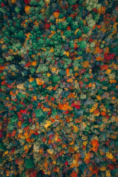 overhead — над головой