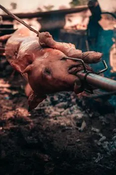 Schweinefleisch — Свинина