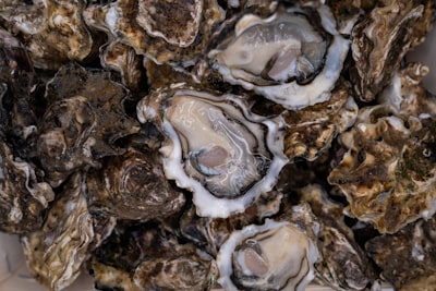 Oyster — устрица