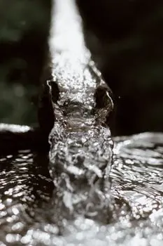 troughs — Желоба