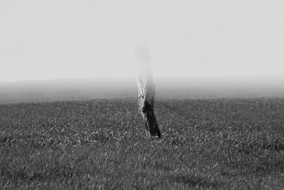 verblassen — выцветать