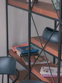 Bookcases — Книжные полки