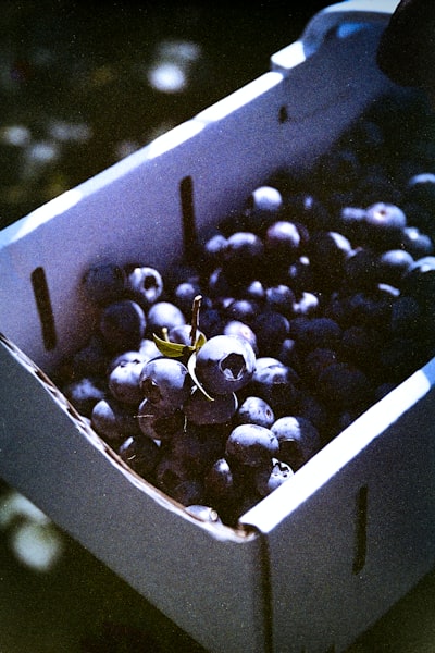 Zgomotos — громкий