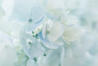airy — просторный