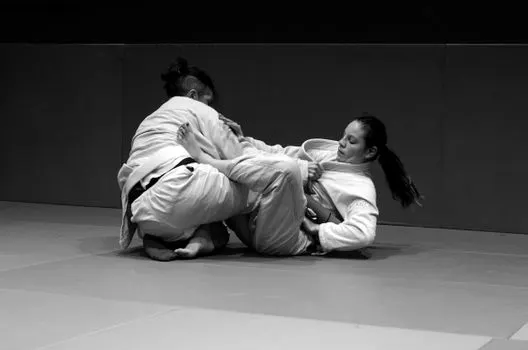 signature move — фирменный приём