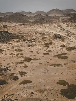 Wasteland — Пустошь