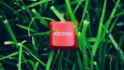 Assignee — правопреемник
