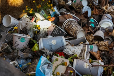 Littering — замусоривание