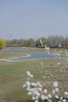 Estamos en primavera y hace buen tiempo. — Наступила весна, и погода прекрасная.