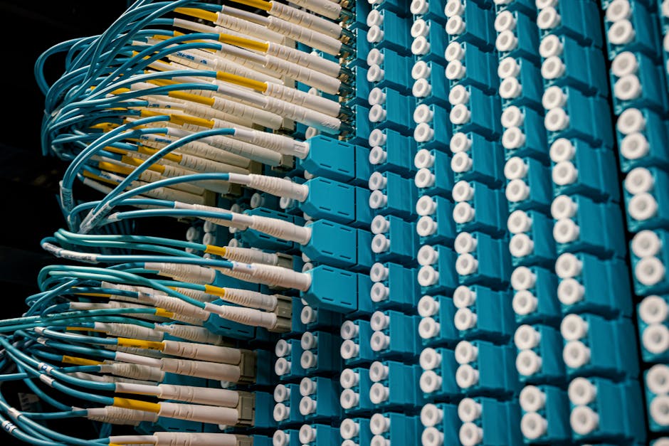 internet szerokopasmowy — широкополосный интернет