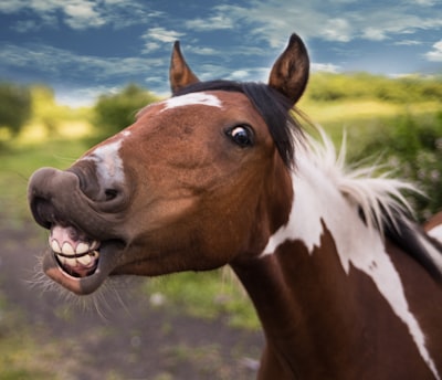 comical — комичный