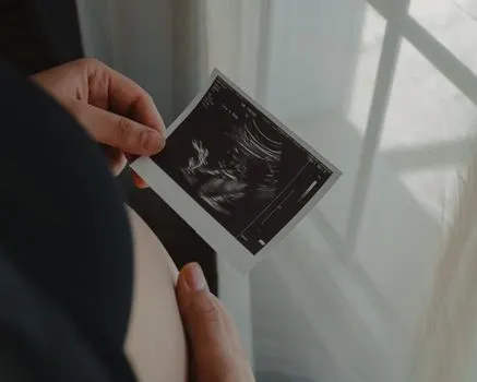 embryo — Эмбрион