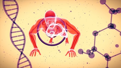 Pathophysiology — патофизиология