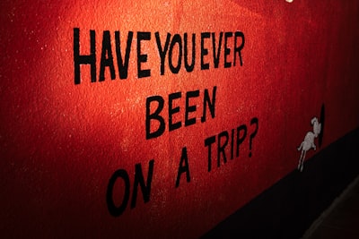 Have you ever been to — ты когда-нибудь был в