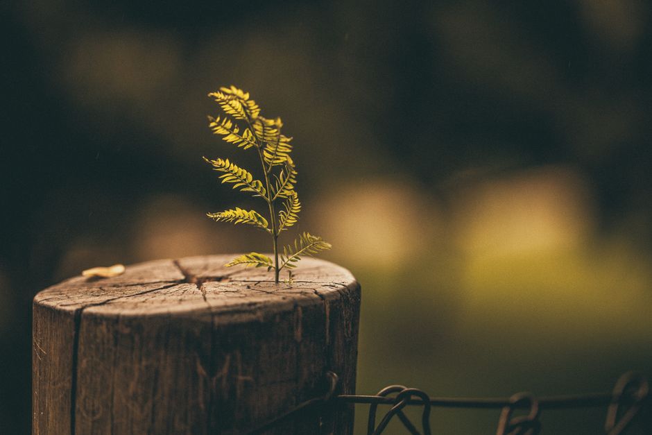 withstanding — выдерживая
