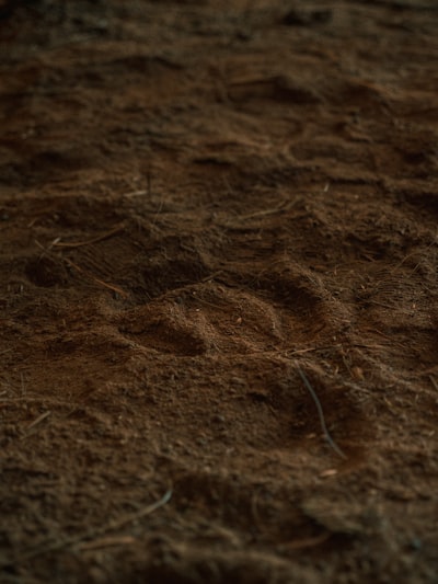 Dirt — грязь