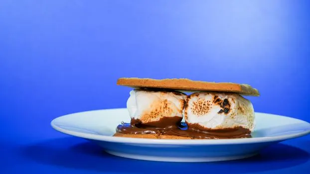 Smores — Зефир на костре