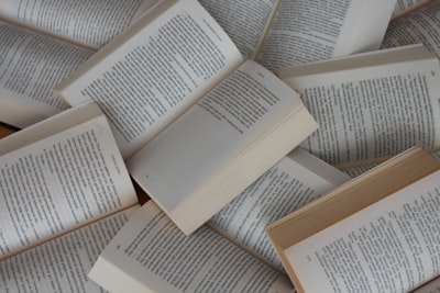 el libro — книга
