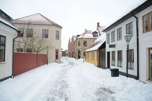 Januar — январь