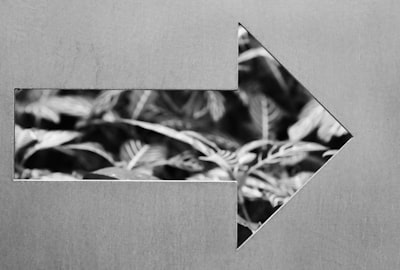 crucial point — ключевой момент