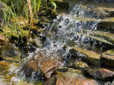 spring water — родниковая вода