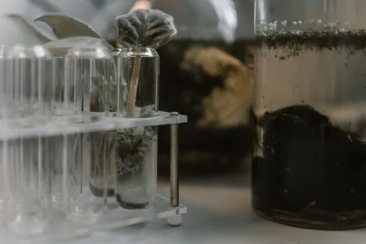 In vitro — in vitro