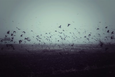 vaguely — смутно
