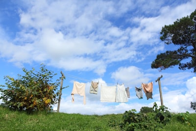 Clothesline — верёвка для белья