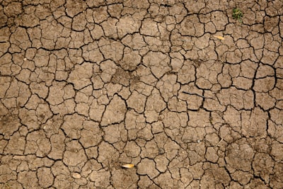 Dry — сухой