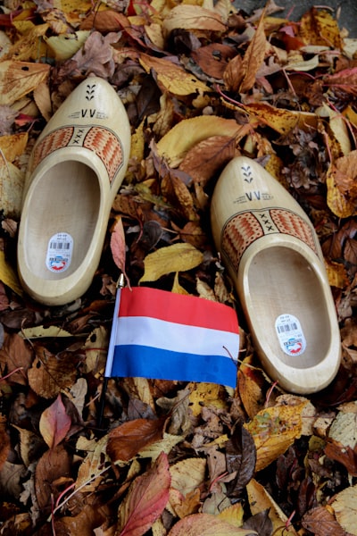 clog — засорять
