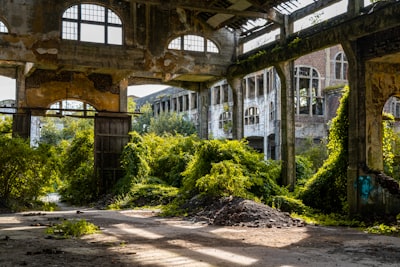 abandonado — заброшенный