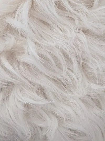 furs — меха