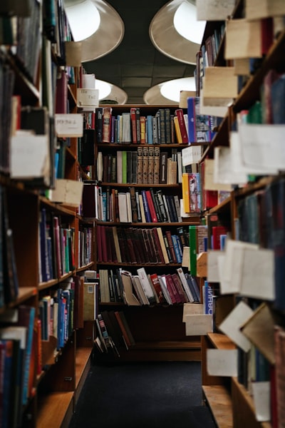 Où est la bibliothèque ? — где библиотека?