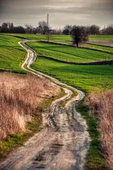 routes — Маршруты