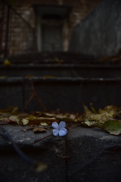 faintly — слабо