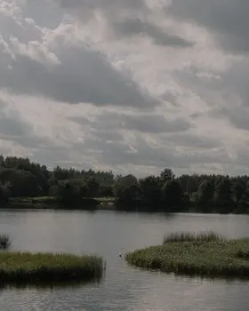Serene calm — Безмятежное спокойствие