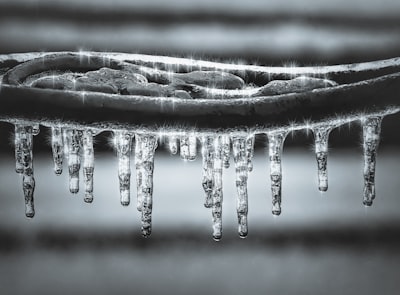 Freeze response — реакция замирания