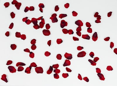 petal — лепесток