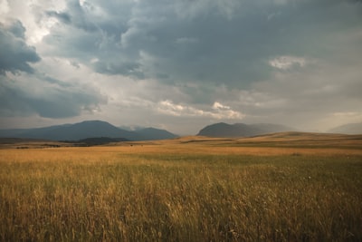 field of study — область изучения