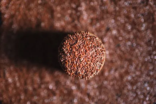 Linseed — Льняное семя