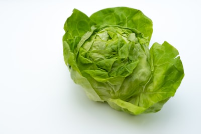 Lettuce — салат-латук