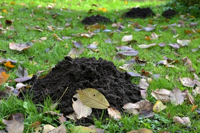 Molehills — кротовины