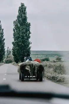 Hayride — Поездка на телеге с сеном